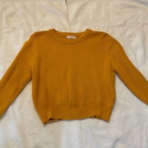 Thick Sunflower Sweater